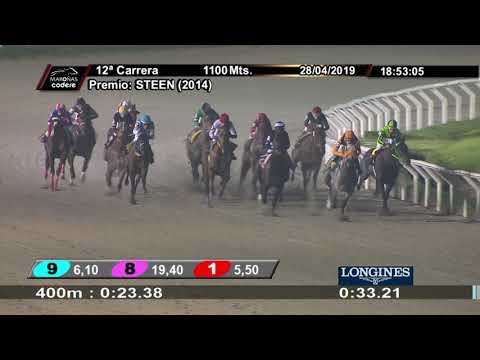 28/04/2019 – Hipodromo Maroñas – Carr 12 – STEEN (2014)