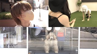 从今天开始，我就是一名训狗师！然而，他接受了训练并成为了一只出租狗。