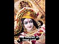 Beautiful Gopinathaji Dressing Seva Kirtan By Shivram Dasa
