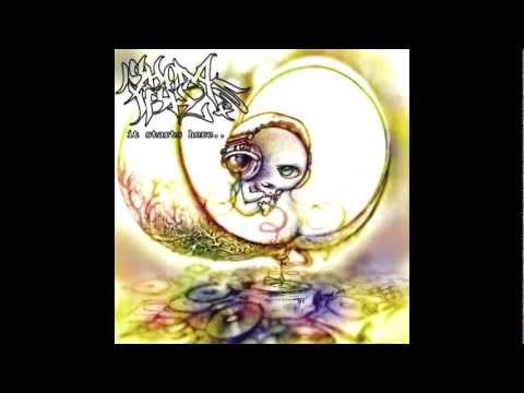 Shoda Ish - Incognito