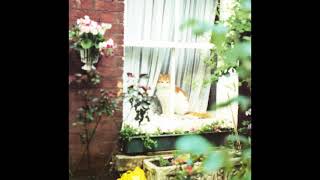 SAINT ETIENNE - DUNNOTTAR