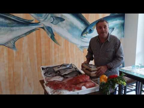 Non venite al Porto di Mare Livorno