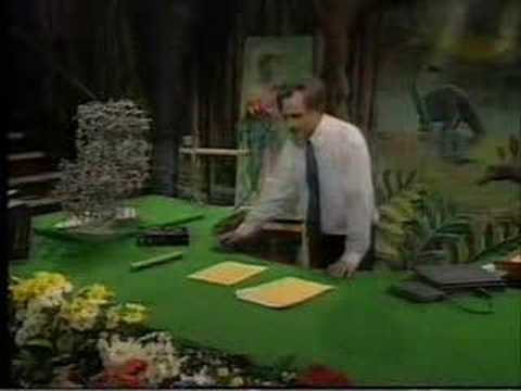 Dawkins: Lecture 4 . The ultraviolet garden (7of 7)