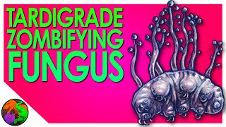 Parasitic Fungus turns Tardigrades into Indestructible Zombie Gummy Bears