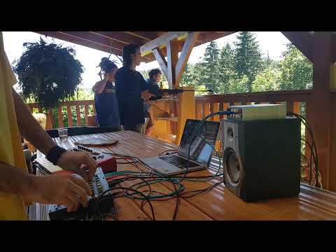 Only Synths - Nord Modular, Analog Four, Volca FM, Cuckoo voice & roomates