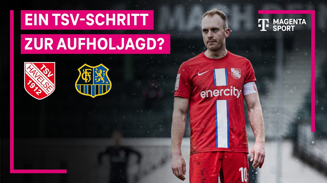 TSV Havelse vs 1.  Saarbrücken Highlights