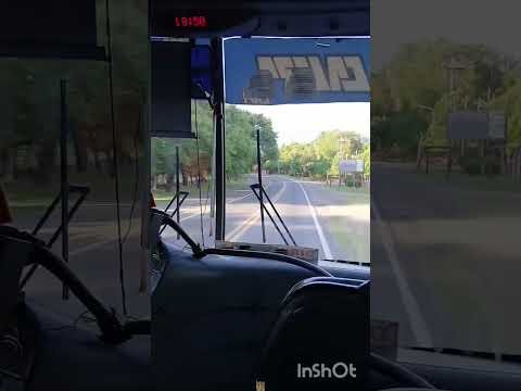 Por la ruta 38, Esta Acelerado, los chóferes manejan bien. #casagrande #cordoba