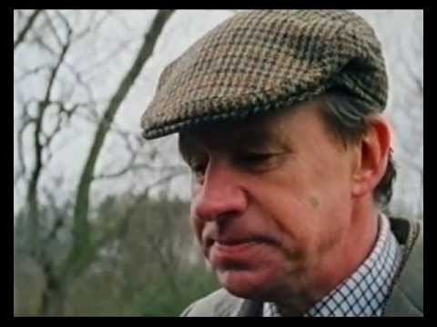 The Aristocracy - Survival of the Fittest: 1970-1997 4th part