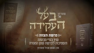 הרב מנחם מנדל פומרנץ | מתורתו של בעל העקידה - פרשת תצוה • ענין בגדי הכהונה והסמיכות לפרשת שמן המנורה