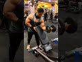 Best workout for biceps peak