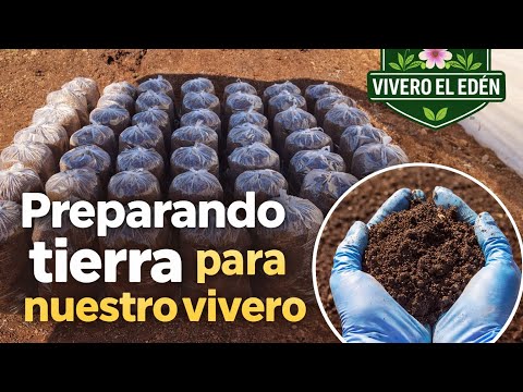 Preparando tierra para nuestro vivero 🍃