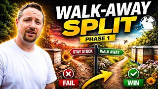 Walk-Away Split (Phase 1): Getting Started