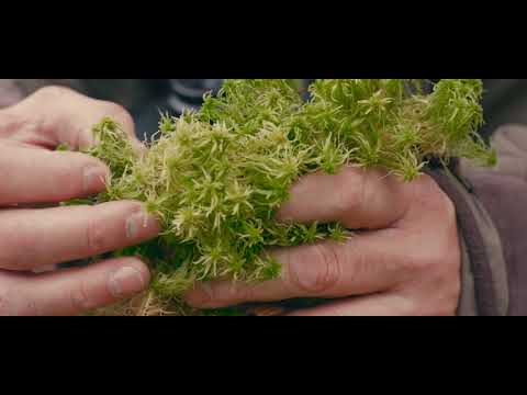 Moorlandschaften im Naturpark Hümmling