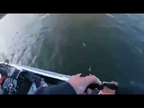 Tournament Fishing at Lake Lopez CA