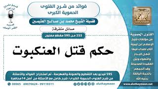 حكم قتل العنكبوت