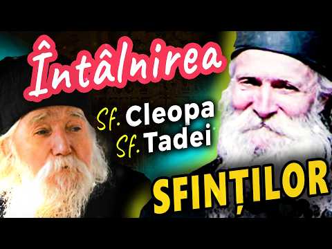 Pilde liniștitoare pentru suflet, de la Starețul Tadei. Întâlnirea cu Sf. Cleopa Ilie