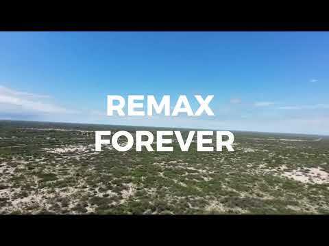 VENTA TERRENO 10 HECTARIAS -  LAVALLE - MENDOZA