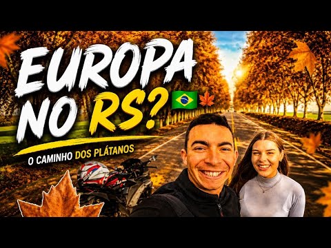 EUROPA NO RIO GRANDE DO SUL? CONHEÇA O CAMINHO DOS PLÁTANOS