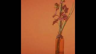 IV of SPADES - Hey Barbara Guitar Backing Track with vocals (studio version)