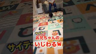 一生懸命ズリバイで来たのにっ!! いじわる#お兄ちゃん #赤ちゃん #赤ちゃんのいる生活