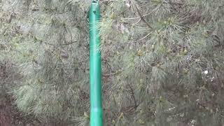 un-palo-della-luce-spezzato-sta-per-cadere-e-nessuno-interviene