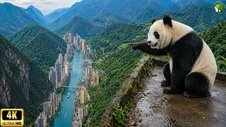 IMPOSSIBLE PLACES | The Most Extreme Corners of China | Travel Documentary 4K
