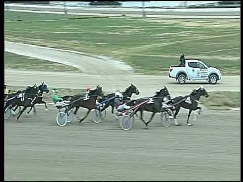 Trotto 10/01/2017 - 2ª corsa