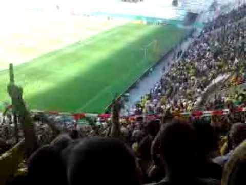 DYNAMO - Dynamo Dresden gegen 1.FC Nürnberg am 1.8.2009