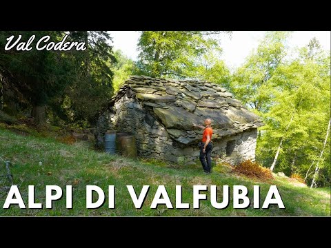 Tick ​​invasion in the Alps of Valfubia and Val Codera