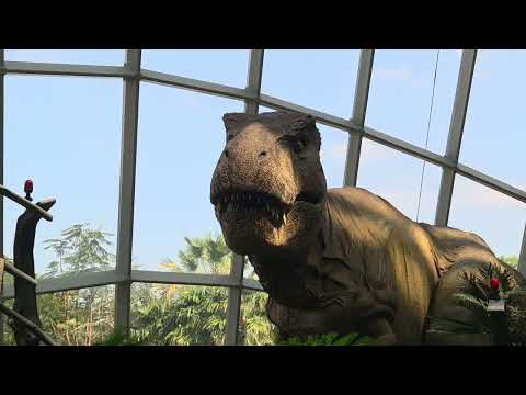 Gardens by the bay jurassic park singapore 