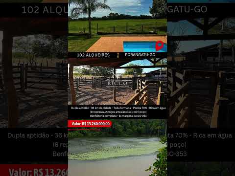 Fazenda Dupla Aptidão em Porangatu GO / whatsapp 62 99373-6407