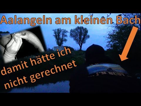 I hadn't expected to find an eel in the small stream!