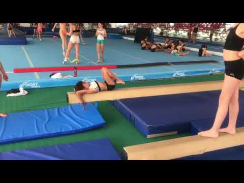 Collegiale Cesenatico 2019