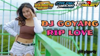 Download lagu DJ GOYANG RIP LOVE CIPLENK NATION EPL PROJECT ft L... mp3
