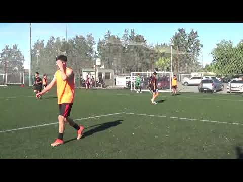 ENRIQUE FC VS DEFENSORES DEL SUR - #LigaNuñez - SLD - 1/12/24