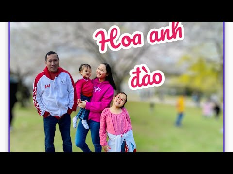 Viajar paraToronto Canadá - High Park - Cherry Blossom 🌸 | công viên Toronto Canadá 🇨🇦