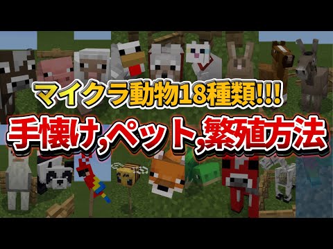 キツネはどうやって繁殖するのでしょうか?