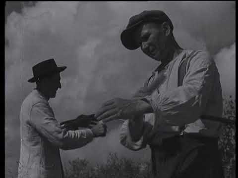 Nivalan heinätyöt (Isien työt V)