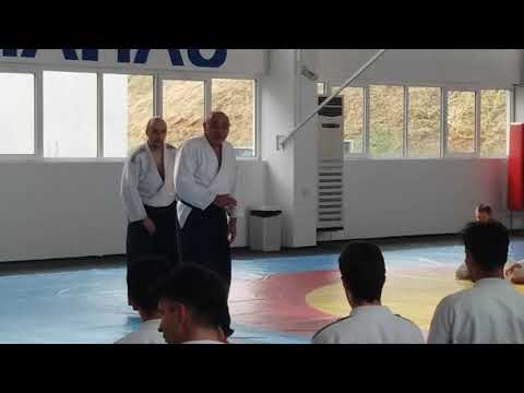 Seminar in Varna 15-17.06.2017 - Michele Quaranta - Video 12