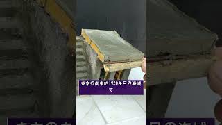 #株式 #投資# 日本株 #資産運用 #投資初心者 #株式投資 #お金の勉強 #長期投資 #配当金 #老後資金