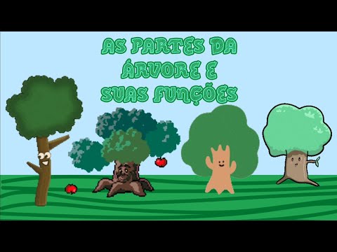 As partes da árvore e suas funções/ fotossíntese (para crianças)