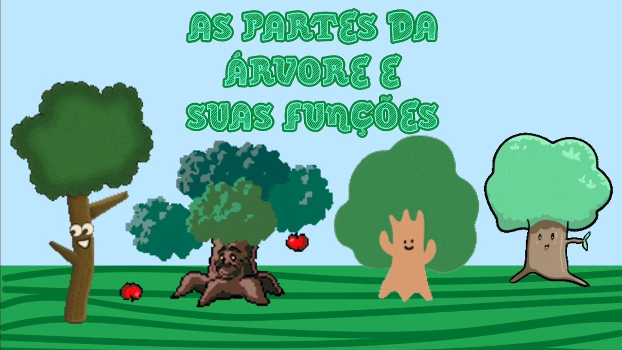 As partes da árvore e suas funções/ fotossíntese (para crianças)