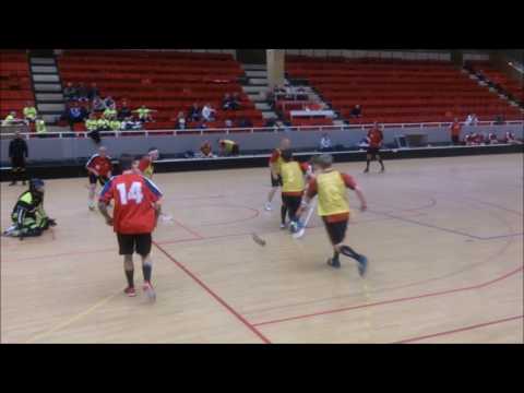 Postmästerskap Innebandy 2014 Herrfinal