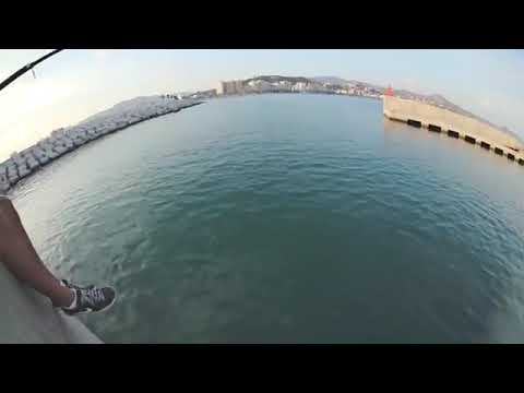 Foyone #rapsincorte (vídeo oficial)