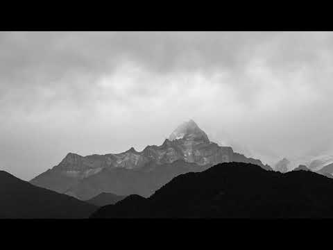 Suika #115 w/ Steve Darko, Underher, Anja Schneider, Adrian Roman, Stefan Gieck, and others...