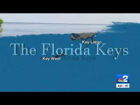 Weather Blog: Florida's Key deer face tough road during hurricane season