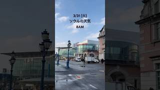 今日の最高気温は19度！🌤️一晩中降っていた雨がやんで、晴れてきています。☺️   #ソウル #ソウルの天気 #ソウル旅行 #ソウルグルメ