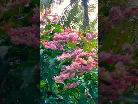 Flowers always gives a fresh feel.