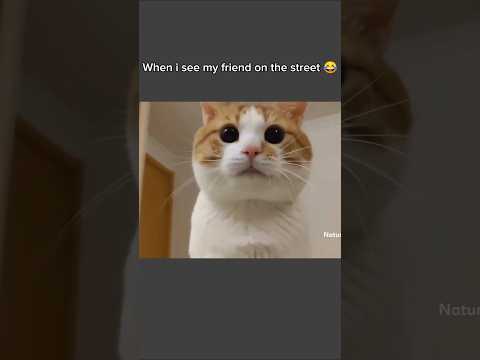 When i see my friend on the street #shortvidoe