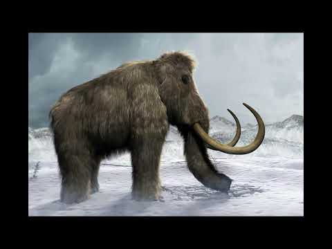 [FREE] SCALLY MILANO x 163ONMYNECK x Polyana Type Beat - "Мамонт" (prod. Kid Ghxsty)